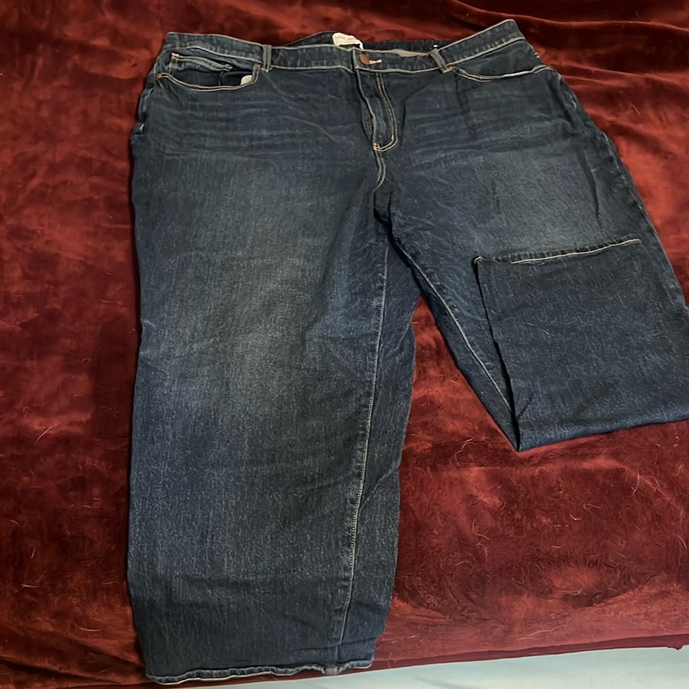 Lane Bryant Jeans